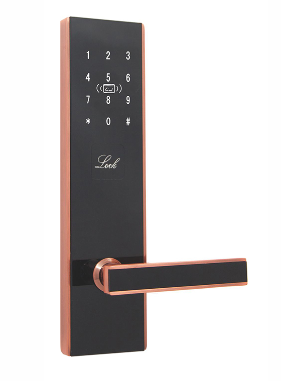 GLJ-8930LoRa無線聯網密碼鎖